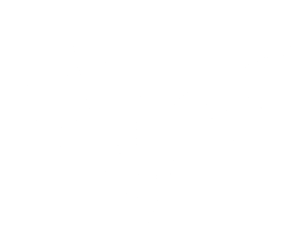 For Moguls Only